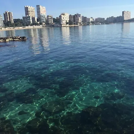 Piso Centrico Y Con Encanto En Plaza De Toros * Alicante